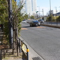 DSC 4584