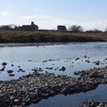DSC 4604