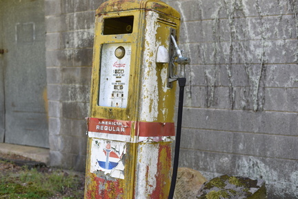 DSC 4984
