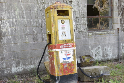 DSC 4983