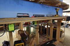 DSC 3900
